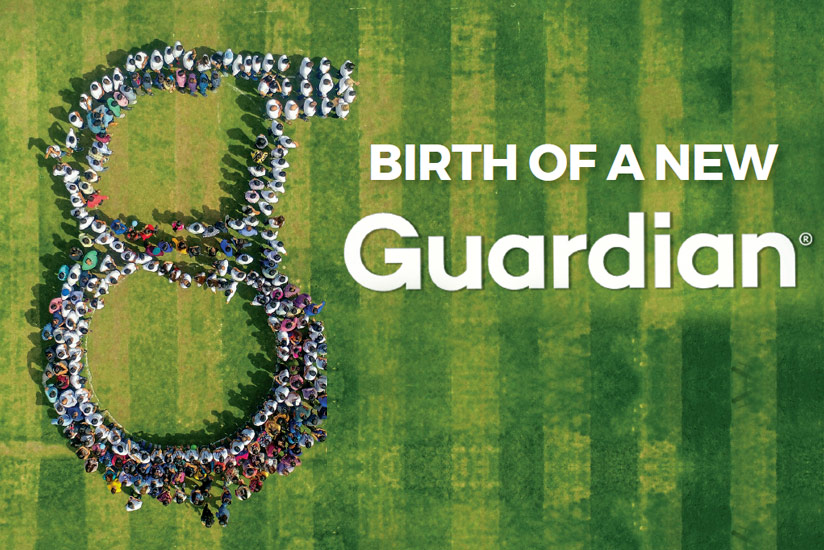 Birth of a New Guardian